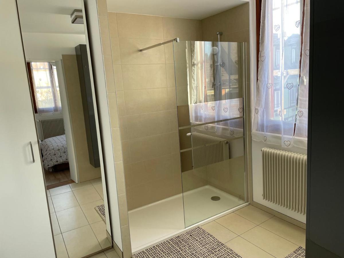 Appartement Le Fil D'Or Colmar Dış mekan fotoğraf