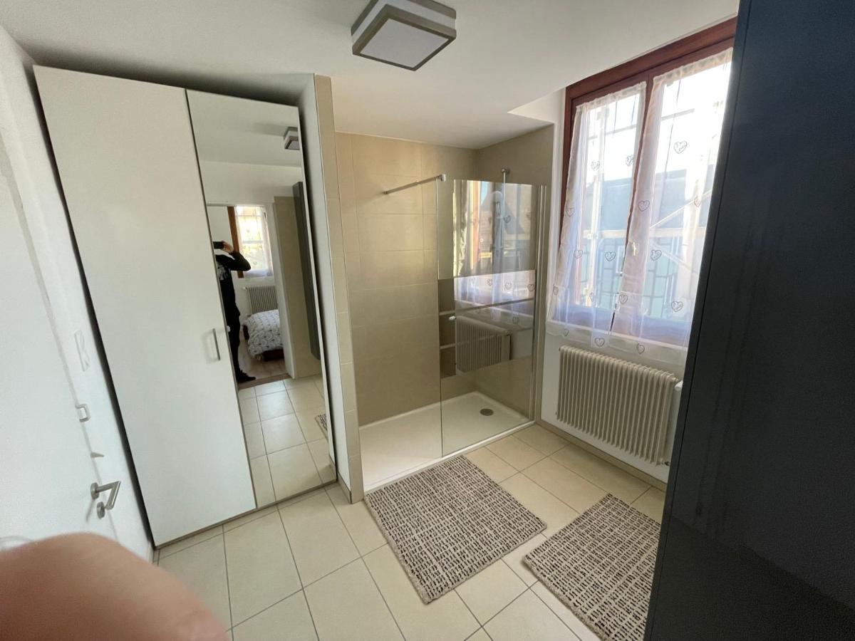 Appartement Le Fil D'Or Colmar Dış mekan fotoğraf